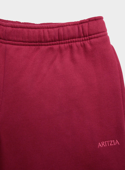 Aritzia Cozy Sweat Hoodie & Pants Set